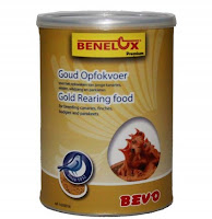 GOLD REARING FOOD BENELUX
