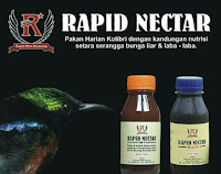 Rapid Nectar