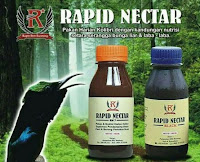 Vitamin Burung Rapid Nectar Black
